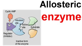 Allosteric enzyme [upl. by Elodie]