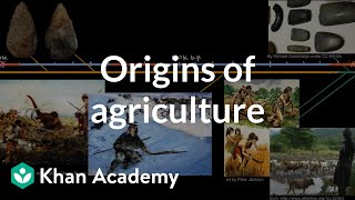 Origins of agriculture  World History  Khan Academy [upl. by Vorster]