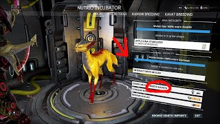 Warframe  How to breed Kavats Smeeta Kavat [upl. by Doi]