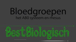 Bloedgroepen Het AB0 systeem en rhesus [upl. by Shelly]