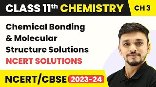 Class 11 Chemistry Chapter 4  Chemical Bonding amp Molecular Structure NCERT Solutions [upl. by Lledraw]