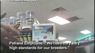 Petland Investigation Pet Store Sells Puppy Mill Dogs [upl. by Kassity]