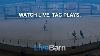 LiveBarn Live Tagging Intro [upl. by Akinit918]