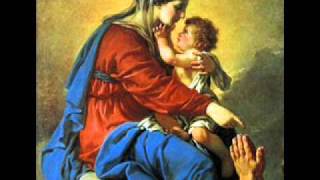 Salve Mater Misericordiae  Catholic Song of Praise to Mary [upl. by Siahc]