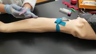 Phlebotomy Venipuncture Procedure [upl. by Mercier91]