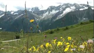 TRENTINO  ALTA VAL DI SOLE Vermiglio Passo del Tonale [upl. by Schwarz274]