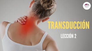 2 TRANSDUCCIÓN FISIOLOGÍA DEL DOLOR [upl. by Aramahs]