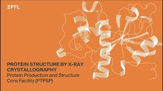 Protein structure by Xray crystallography [upl. by Nitsud]