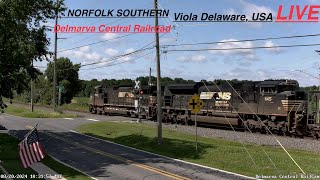 Viola Delaware USA Delmarva Central Railroad RailCam LIVE [upl. by Yssirk737]