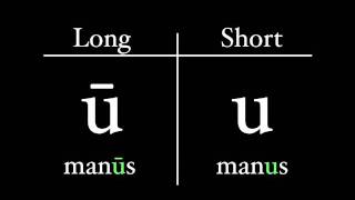 The Latin Alphabet  Vowel Pronunciation [upl. by Kotz]