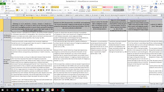 How to Create a Literature Matrix Excel [upl. by Iddet]