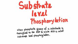 Glycolysis substrate level phosphorylation [upl. by Llerred11]