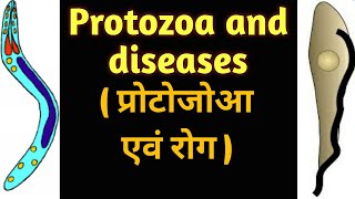 Protozoa and diseases [upl. by Xenos]