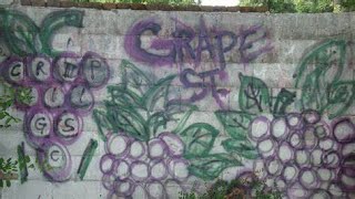 Grape Street Watts Crips [upl. by Gnilyam]