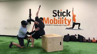 QL Stretch For Low Back Tightness  Stick Mobility Exercise [upl. by Anavi]