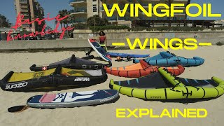 How to Wingfoil The Wings Explained [upl. by Yahs]