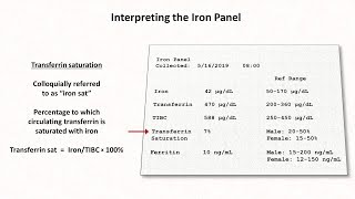 Anemia Lesson 2  Interpreting the Iron Panel [upl. by Gardas]