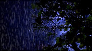 Heavy Rain Sounds for Sleeping Night Rain to Beat Insomnia Relax Study Focus help Tinnitus [upl. by Anek948]