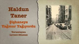 Haldun Taner  Şişhaneye Yağmur Yağıyordu [upl. by Aldin]