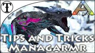 Fast Managarmr Taming Guide  Ark  Survival Evolved Tips and Tricks [upl. by Ymmat]