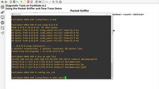 Using Packet Sniffer and Flow Trace to Troubleshoot Traffic on FortiGate 62 [upl. by Latsyrhc]