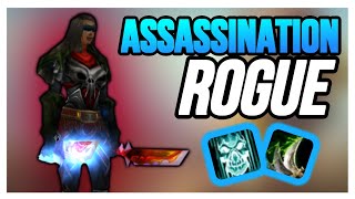 ASSASSINATION ROGUE 335 PVP  BEGINNER GUIDE WARMANE WOTLK ClassicGearTalentsMacrosDuels 2021 [upl. by Wittie660]