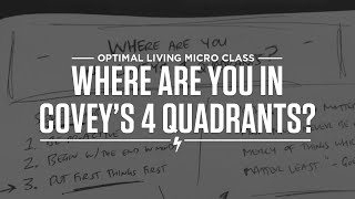 Where are you in Coveys 4 Quadrants [upl. by Ralaigh]