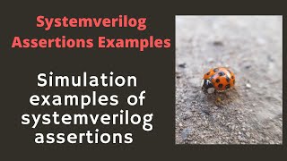 Systemverilog Assertions Examples  Realtime simulation [upl. by Atrice]