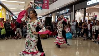 PasoDoble MANIZALES 170 AÑOS  Kambalache [upl. by Friedberg]