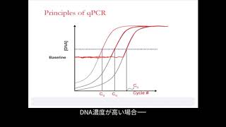 【定量PCRを学ぶ】定量PCRの概念 [upl. by Tonry]