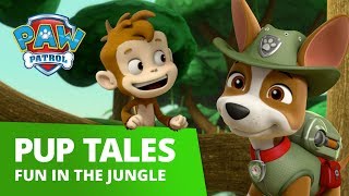 PAW Patrol  Fun in the Jungle Counting and Sing Along  PAW Patrol Official amp Friends [upl. by Bonis]