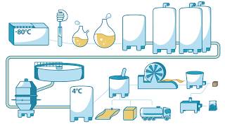 How yeast is made  Lesaffre [upl. by Dolhenty]