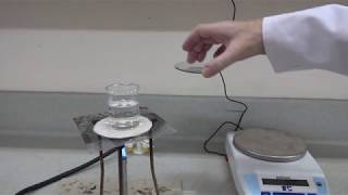 Solubility of potassium nitrate Part 1 C0029 [upl. by Nref586]