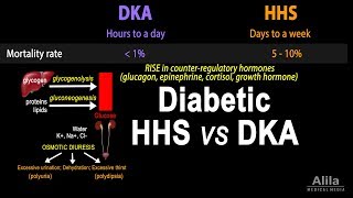 Hyperosmolar Hyperglycemic State Diabetic HHS vs DKA Animation [upl. by Yelkcub]