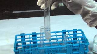 Chemical Tests for Carbonate  MeitY OLabs [upl. by Dituri400]