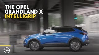 The Opel Grandland X Welcome Back That Wild Feeling [upl. by Terchie]