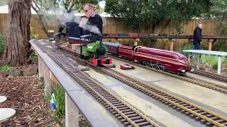 Gauge 1 Live Steam August 2019 [upl. by Valda]