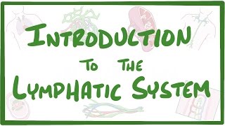 Introduction to the Lymphatic System [upl. by Aihceyt]