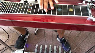 HOW TO PLAY PEDAL STEEL GUITAR FOR BEGINNERS  EPISODE 1 [upl. by Esiocnarf80]