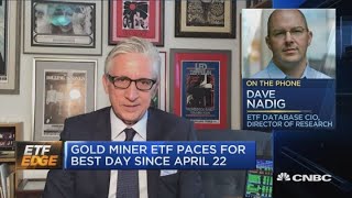 Gold ETFs gain ground as Warren Buffett bets on the miners [upl. by Nahama102]