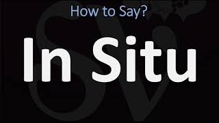 How to Pronounce In Situ CORRECTLY [upl. by Connie]