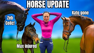 HORSE UPDATE  A LOT GOING ON  VLOG 115 [upl. by Ainesy544]