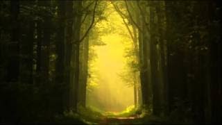 Celtic Spirit Chants and Melodies from the Celtic Lands [upl. by Orfurd122]