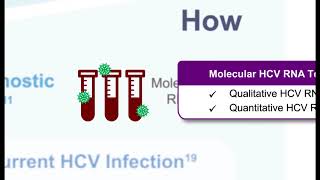 Hepatitis C  HCV Made Simple [upl. by Otilesoj]