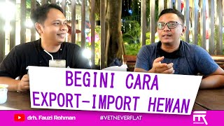 CARA EXPORT IMPORT HEWAN ALA PROFESIONAL [upl. by Nitnerb]