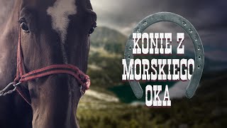 Konie z Morskiego Oka tatry konie MorskieOko [upl. by Alston]