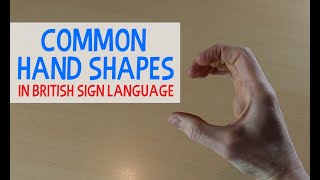 Common Hand Shapes in British Sign Language BSL [upl. by Gearard662]