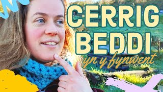 Dysgu Cymraeg  cerrig beddi 🚶🏼‍♀️👻 MynediadSylfaen Welsh vlog for beginners  Galés con Marian [upl. by Ajtak]