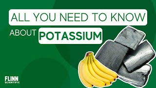 Potassium Everything You Need to Know [upl. by Iadahs]