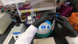 Cell Cycle Analysis by Flow Cytometry [upl. by Neona162]